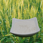 Chitosan Hydrochloride HCl - Shellight Organic Quick Release Agriculture White Powder