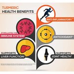 Turmeric Curcumin Capsules - 120 Count Organic Healthy Support Supplement