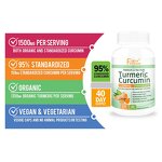 Turmeric Curcumin Capsules - New Arrival Brain Health Cognitive Function Support