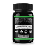Saw Palmetto Capsules - Hair Loss Prevention Support Extract Supplement