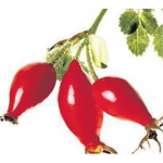 Rosehip Oil - High Quality Pure 99% Cosmetic Grade Oil