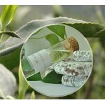 Eucalyptus Oil - Pure Nature 70% 80% Purity Essential Oil