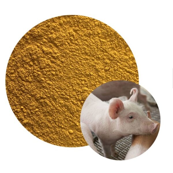 L-Tryptophan - CAS 73-22-3 Feed Grade Amino Acid Supplement