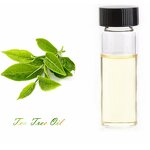 Tea Tree Oil - Nature Pure Liquid High Quality Essential Oil
