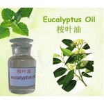 Eucalyptus Oil - Pure Nature 70% 80% Purity Essential Oil