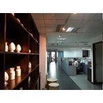 L-Threonine - 98% Feed Grade Additive Competitive Price