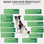 Tuna Cat Snack Manufacturer - Wholesale Steamed Cut Strips Lean Protein for Digestion Support Heart Health