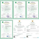 Powdered Allulose Manufacturer - Low Calorie Sweetener for Browning Caramelization in Sugar-Free Baking