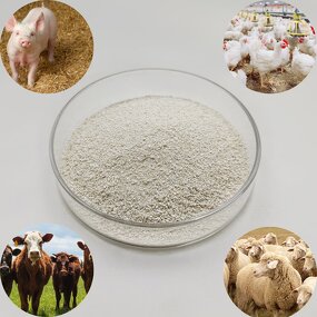 L-Lysine Sulphate Manufacturer - 70% Promote Healthy Growth for Animal Poultry Feed Grade Amino Acids