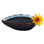 Tea Seed Saponin Liquid - 35% Saponin Rich Biopesticide Fertilizer