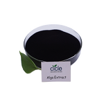 Seaweed Extract Powder - Ascophyllum 100% Soluble China Supplier Cheap Price