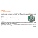 28-Homo-brassinolide - 0.1% DF New Tech Relieve Agrochemical Hazards