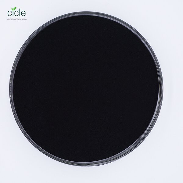 EDDHA Fe 6% Fertilizer - High Content Chelated Iron Micronutrient Factory Price