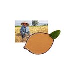 Bacillus Thuringiensis Kurstaki BTK - Bt CAS 68038-71-1 Lepidoptera Pesticide