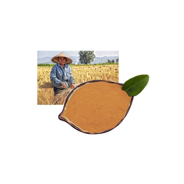 Bacillus Thuringiensis Kurstaki BTK - Bt CAS 68038-71-1 Lepidoptera Pesticide