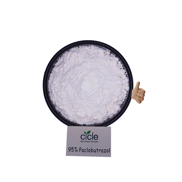 Paclobutrazol PP333 PBZ - 95% TC Plant Growth Regulator for Agriculture