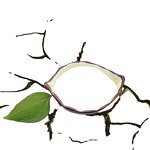 2,2-Dimethylol Propiomic Acid - DMPA CAS 4767-03-7 Industrial Grade