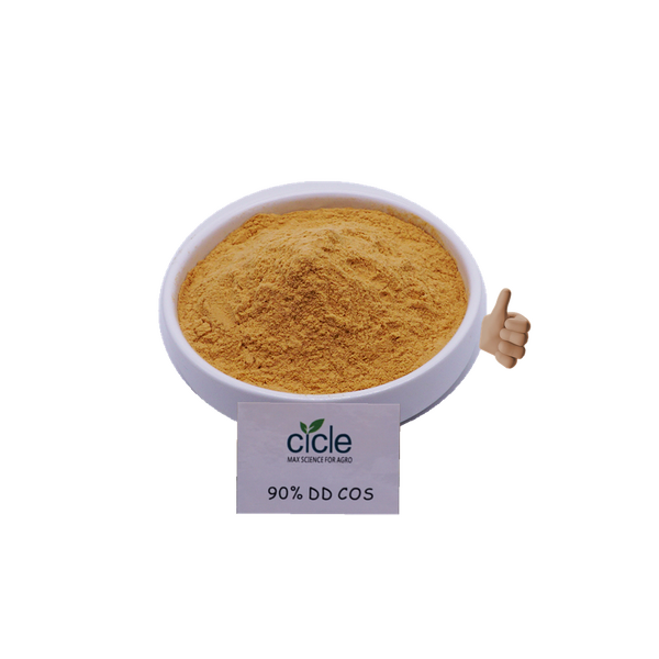 Chitosan Oligosaccharide COS - 90% Raw Material Enhance Disease Resistance