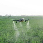 Emamectin Benzoate - 5% WDG New Tech Biological Insecticide CAS 155569-91-8