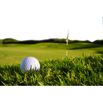 Tea Saponin Liquid - 35% Plant Extract CAS 67-71-0 Turfgrass Fertilizer