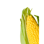 Trans-Zeatin Riboside - CAS 6025-53-2 High Quality Agricultural Grade