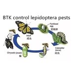 Bacillus Thuringiensis Kurstaki BTK - 32000IU/mg CAS 68038-71-1 Lepidoptera Pesticide