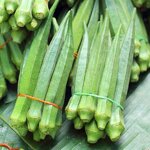 Dinotefuran Insecticide - 98% TC CAS 165252-70-0 Effective Pest Control