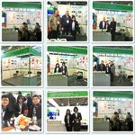 Bio Fungicide - Organic Green House Treat Tomato Virus Disease