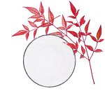 Gibberellic Acid GA3 - 90% Water Soluble Powder CAS 77-06-5 PGR