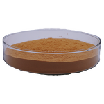 Bacillus Subtilis BS - Biological Fungicide Powder Organic Farming Grade