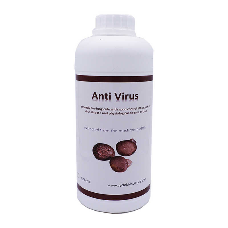 Mushroom Extract - Agrochemical Anti Tomato Virus Disease