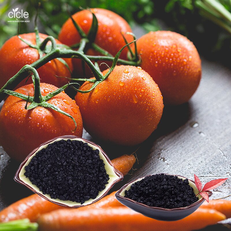 Potassium Humate Fertilizer - 98% Flakes Crystal Granular Agriculture Grade