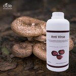 Bio Fungicide - Organic Green House Treat Tomato Virus Disease