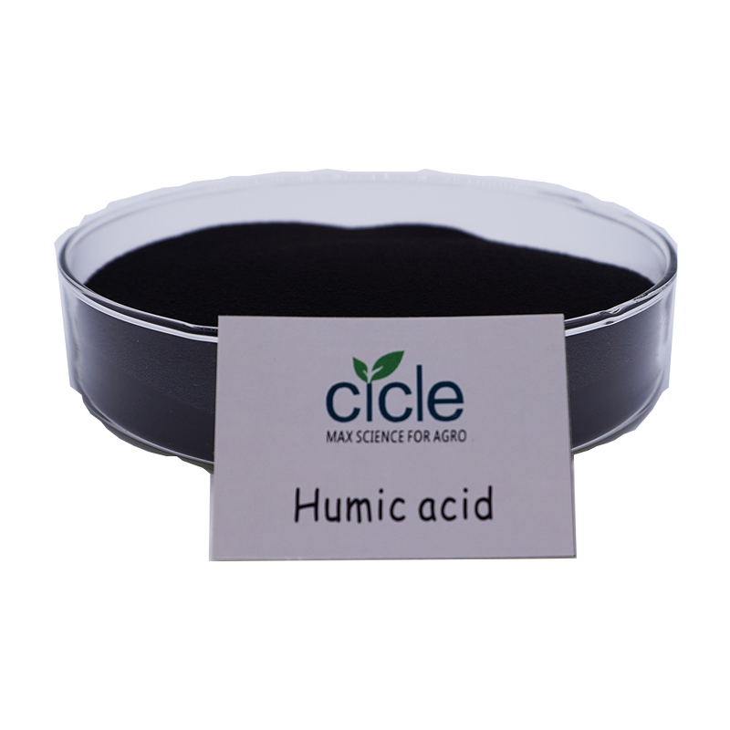 Humic Acid Powder - 45% 100% Water Soluble Potassium Humate Factory Price