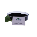 Seaweed Extract Alga 70 - 100% Water Soluble Organic Fertilizer Factory Price