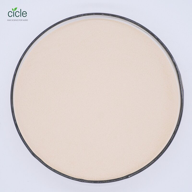 Compound Amino Acid Powder - 80% Vegetable Source Biostimulant Plant Growth