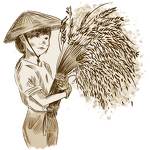 Compound Amino Acid Powder - 80% Plant Source Stable Organic Fertilizer