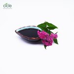 Green Tea Saponin Liquid - Organic Fertilizer Insect Killer Good Price