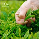 Tea Seed Saponin Liquid - 30% Plant Extract Golf Course Worm Control