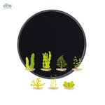 Seaweed Extract Alga 50 - Organic Powder Fertilizer Free Sample