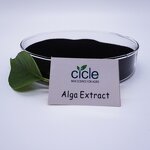 Seaweed Extract Powder - 100% Agro Products Organic Fertilizer