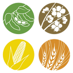 Potassium Humate Granular - Organic Fertilizer Good Price Free Sample