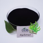 Seaweed Extract Alga 50 - 100% Water Soluble Rich Alginic Acid Fertilizer