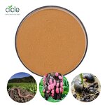 Tea Saponin Insecticide - Kill Ampullaria Gigas Rice Fields Free Sample