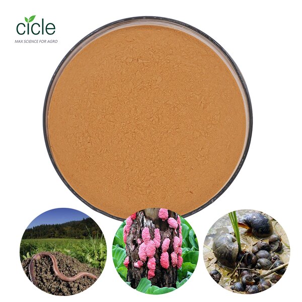 Tea Saponin Insecticide - Kill Ampullaria Gigas Rice Fields Free Sample