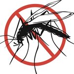 Bacillus Thuringiensis Israelensis Bti - 1200ITU/mg WP Kill Mosquitoes Larvae