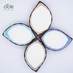 Salicylic Acid - 99% TC Fruit Anti-cracking Sample Available