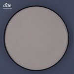 Acetamiprid Insecticide - 40% DF WDG Quick Release CAS 135410-20-7