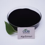 Seaweed Extract Powder - OMRI Listed Alga Bio Organic Fertilizer