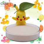 Compound Amino Acid Powder - 80% Plant Source Stable Organic Fertilizer